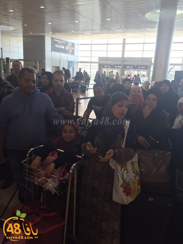 lud 3omra plane lud (11).jpg